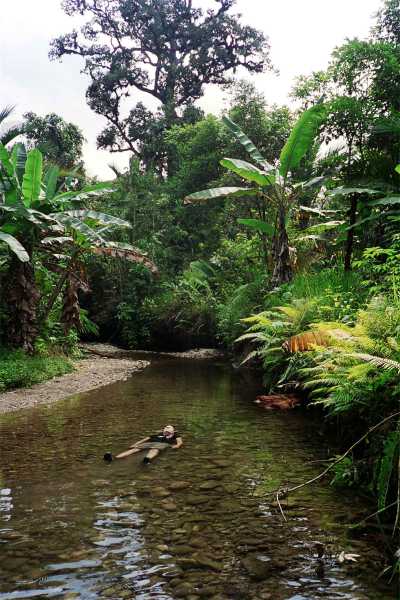 Post walking Siberut style