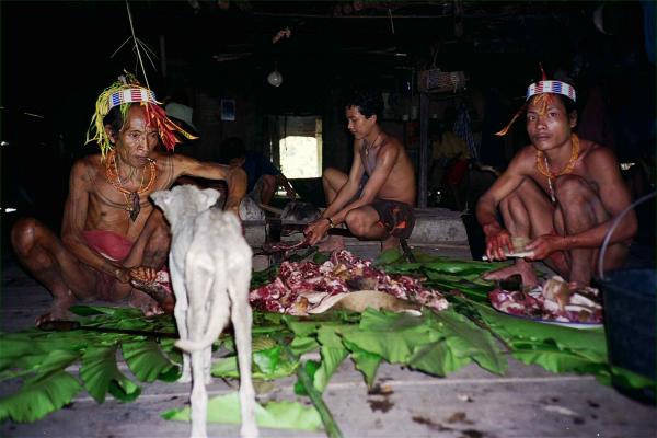 Satoko clan butchering a pig