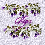 Guestbook