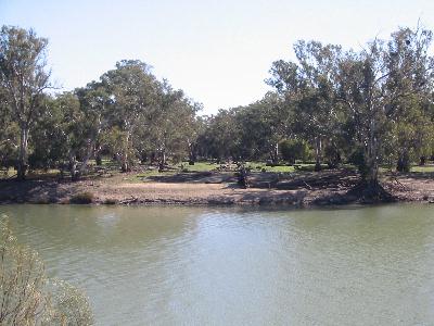Murray river bank