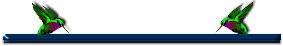 humbirdbar.jpg (4315 bytes)