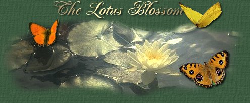 LotusBlossum