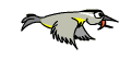 Animated bird