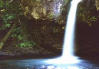 Picture of Curly Creek Waterfall