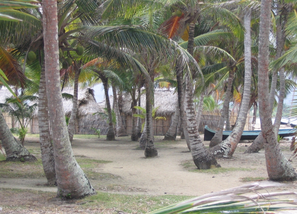 Cabañas Waica