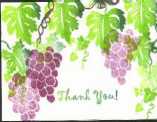 Grapes2TN
