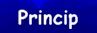 Princip