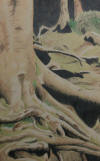 pencil crayon