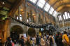 Natural History Museum