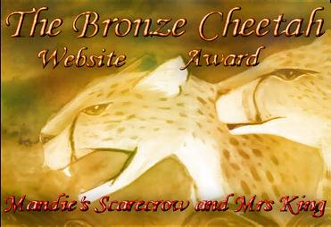 The Bronze Cheetah Website Award