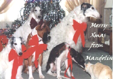 1xmas.jpg (57761 bytes)