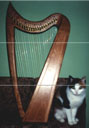 My Eve harp named The Lady Amalthea.