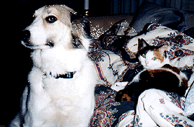 Jesse and Jenny
