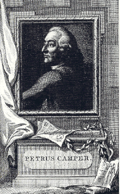 Petrus Camper (1722-1789)