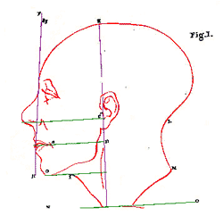 metamorphosis of physiognomies around the world