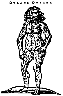 bondt