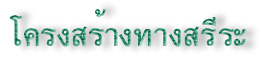 ººçҧҧ