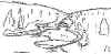 image3.jpg (18425 bytes)
