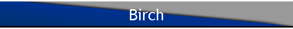Birch