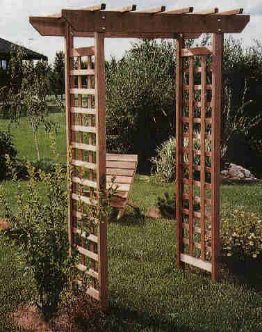 cedar06.jpg (102689 bytes)