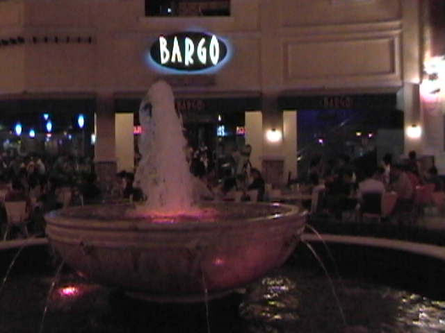 Bargo