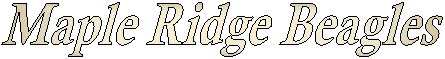 Maple Ridge Beagles