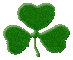 shamrock
