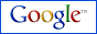 The fast search engine