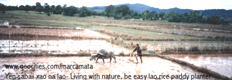 Double click here to visit Laos