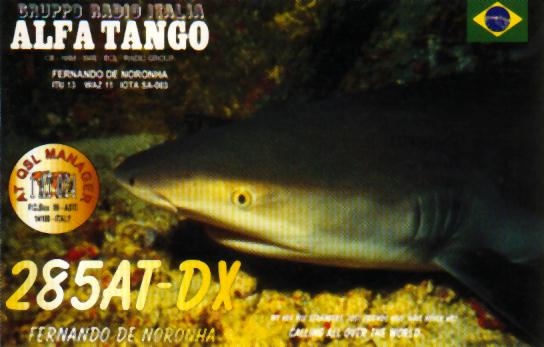 285.jpg (32358 byte)