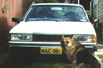 1981 Datsun Bluebird LX
