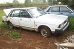 datsun today  22 years old