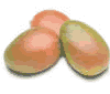 mangoes and ice cream