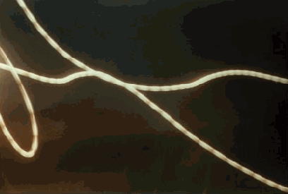 Truely bizarre, cord-like thing that is transparent and passes through itself.