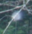 The ghostly globe up close.