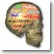 Brian's Brain