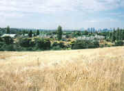 City centre viewed from Avondale Heights