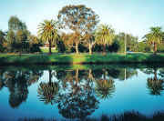 Reflections in Maribyrnong River, Riverside Park, Essendon
