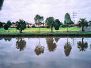 Reflections of west bank in Maribyrnong River Essendon / Maribyrnong