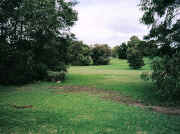 Riverside reserve, Maribyrnong River, Maribyrnong