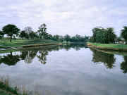 View of terraces, Maribyrnong River Essendon