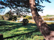 Newell's Paddock Wetlands Reserve