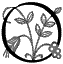 O