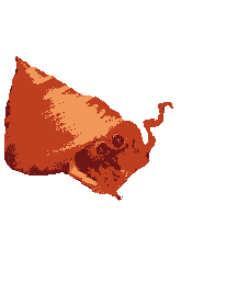 Crabby - Surprise