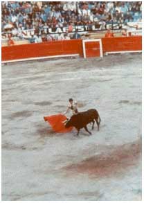 bullfight.jpg (45494 bytes)