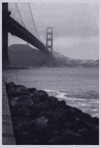 sfbridge1.gif (20137 bytes)