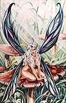 Extremely pretty! I love the wings