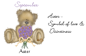 Aster