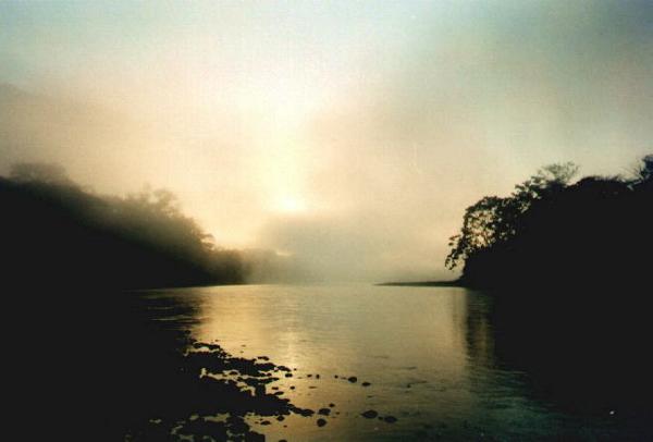 Morgennebel im Amazonas