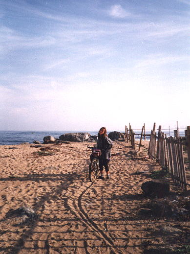 Am Strand bei San Antonio